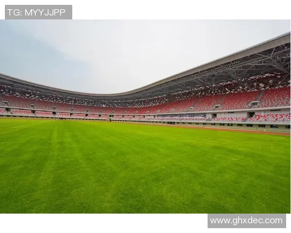 探索足球比赛场地的设计理念与环境影响分析